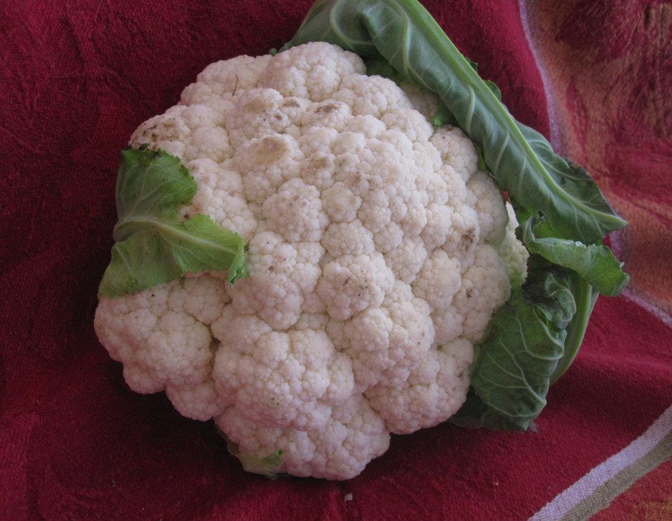 Best Cauliflower Couscous Salad: Easy Make-Ahead & Crowd-Pleasing